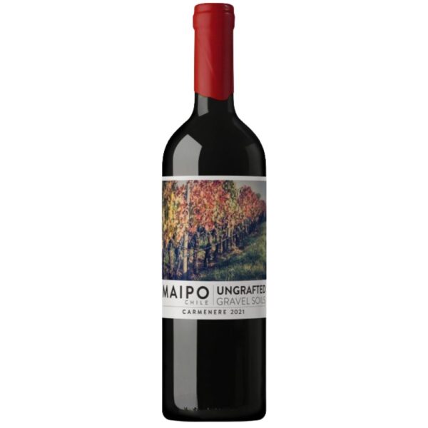 Ungrafted Carmenere 750mL